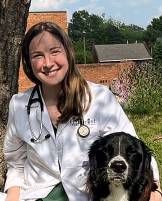 Dr. Sarah Morse, DMV Hillcrest Animal Hospital