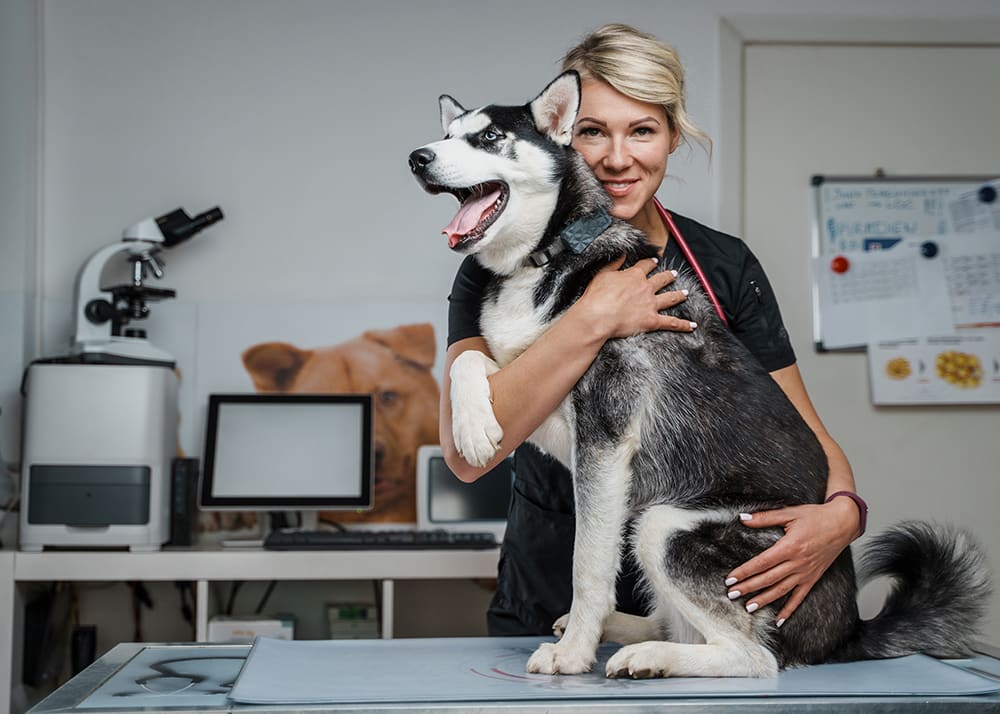 Medical boarding provides a home away from home for pets that need a little extra TLC