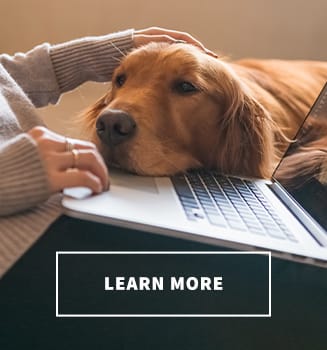 hillcrest hospital animal pharmacy pet ask away need